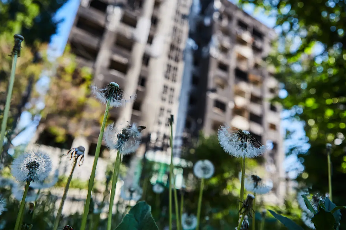 Allergie primaverili in condominio: come ridurre pollini negli spazi comuni con pulizie, manutenzione impianti e cura del verde condominiale.