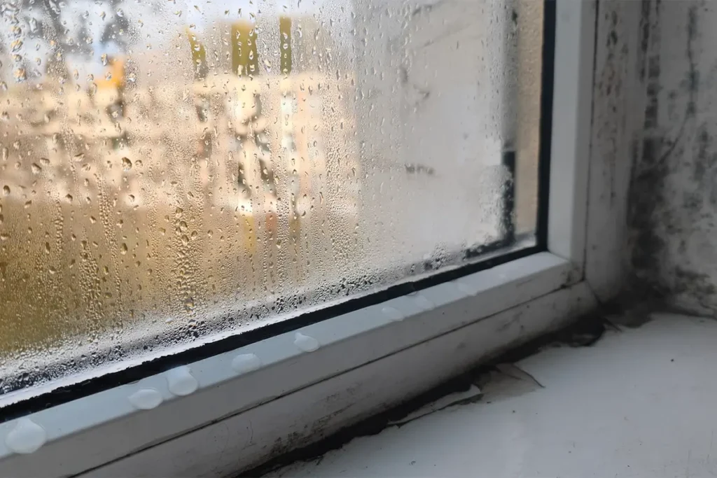 Umidità e condensa in condominio possono causare muffe e degrado: ecco come prevenirle e come organizzare controlli e interventi. 
